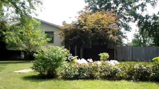 The Old Hood - Centralia, IL