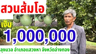 สวนส้มโอเงินล้านวิธีปลูกดูแลรักษาปัญหาโรคแมลงการตลาดครบจบในคลิปเดียว#ส้มโอขาวแตงกวา#ส้มโอทับทิมสยาม