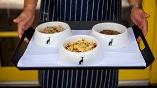 Fine Dining for Well-Heeled Pooches