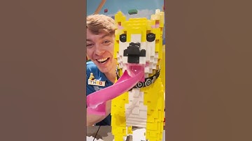 MMB Thad - LEGO Animal Sculptures