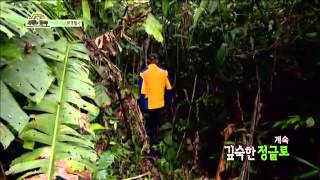 정글의 법칙 42회 #7