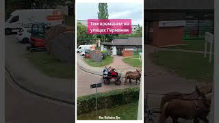 ТЕМ ВРЕМЕНЕМ НА УЛИЦАХ ГЕРМАНИИ 🧐🙃