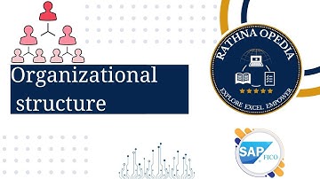 "SAP Organizational Structure Explained | Company, Company Code, Business Area & More"