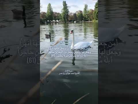 أ م ن ج ع ل ٱل أ ر ض ق ر ار ا و ج ع ل خ ل ل ه آ أ ن ه ر ا و ج ع ل ل ه ا ر و س ي