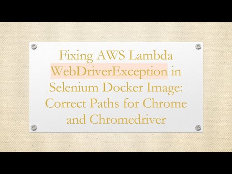 Fixing AWS Lambda WebDriverException in Selenium Docker Image: Correct Paths for Chrome and Chromed