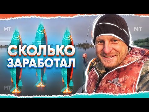 Сколько зарабатывают на YouTube — Доход Always Alone (Всегда в одиночку)