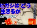 前編・東山社長新会社辞退の真相！　# 福田淳