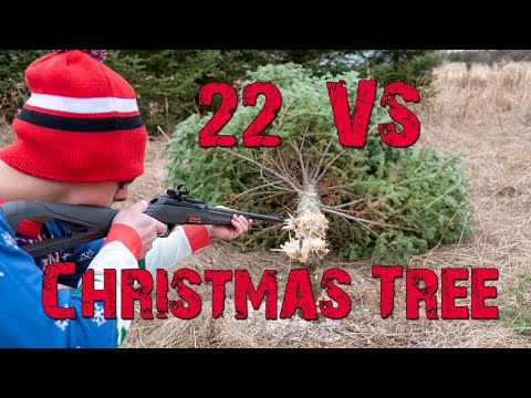 22-vs-christmas-tree-🎄-how-many-shots-will-it-take?-|-gould-brothers