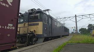【EF64-1028】81レ(名古屋タ発南松本行)中央西線洗馬駅発車