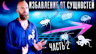 Астральные сущности #2: Как распознать и избавиться? Может ли быть заражен просветленный?