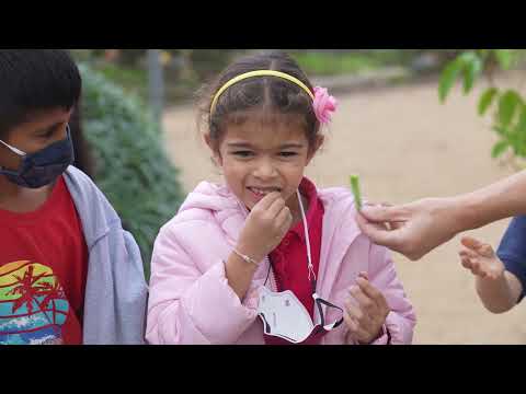 TUSD Elementary Garden Brightspot