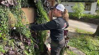 Verwandeln Sie Ihren Raum Mit Vertikaler Begrünung So Einfach Gehts