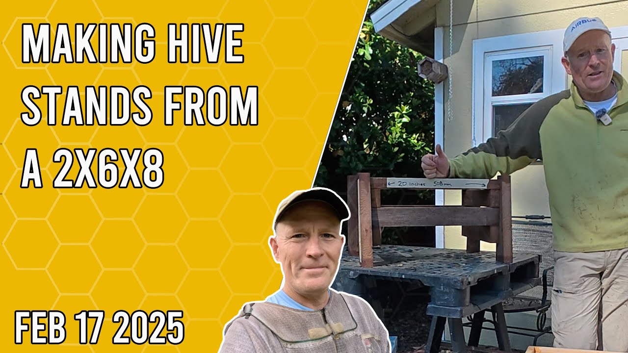 Making Hive Stands from a 2x6x8 - Jacksonville FL Zone 9b