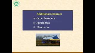 AKC Breeder Webinar: Planning Breedings