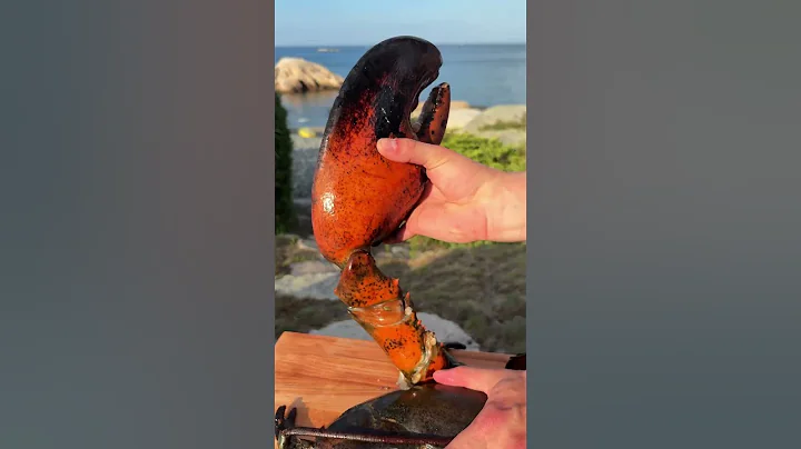 Lobster Revenge