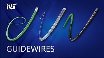 INT Guidewires Introduction Video