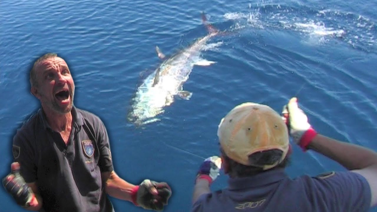 Fishing Tuna in Croatia | Fishing Bluefin tuna | Craziest Tuna fishing | Lov na tune Hrvatska