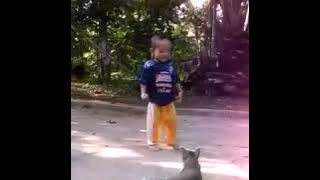 video viral (kucing pengin kawin) wik wik wik....