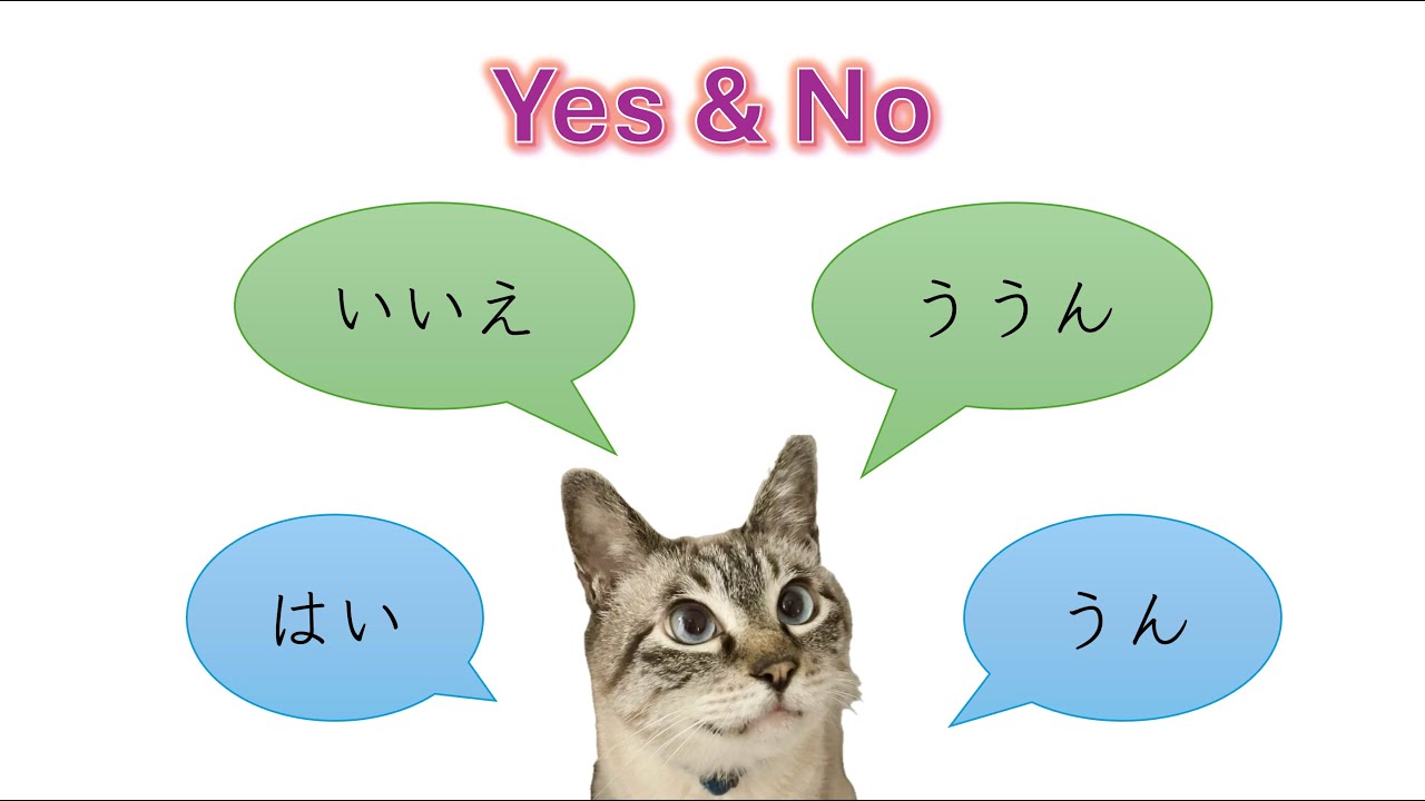 Yes & No = はい & いいえ (formal) / うん & ううん (informal) ~Learn Japanese with ...