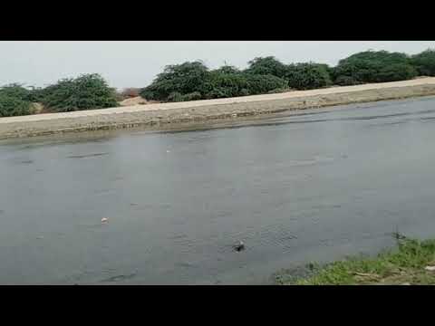 عيسى الاحسائي السبت بعد الظهر في السوق شفت الزين