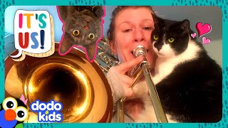 Obsessed Cats Love Music And... Showers?! | Dodo Kids | Animal Videos