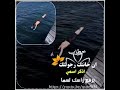 تعالو شوفو خطاب الديري صنديد دير الزور