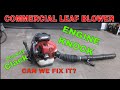 Self-Destructing Leaf Blower With Odd Failure.