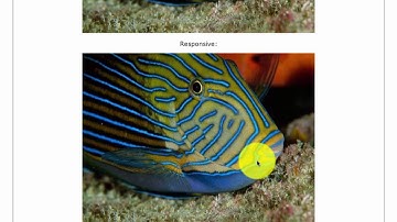 {Web-D, responsive 09} Flexible Media