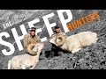 Outdoor life presents the sheep hunters