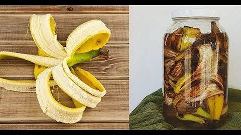 Удобрение из БАНАНОВОЙ КОЖУРЫ для комнатных растений, 5 рецептов, достоинства и недостатки