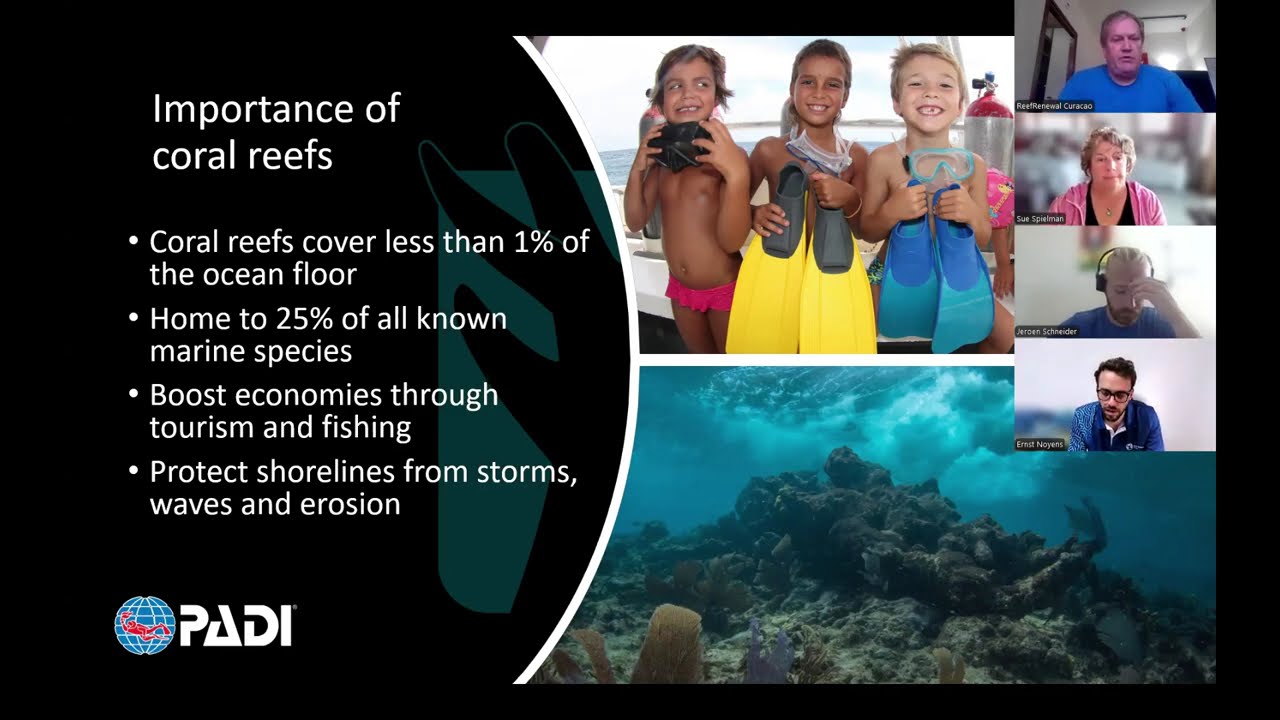 Reef Renewal Foundation Curacao: World Wildlife Day Webinar