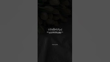سورة نوح | القارئ:ياسر الدوسري