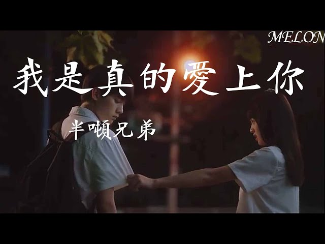 我是真的愛上你-半噸兄弟『只能偷偷看著你，總是沒勇氣，總是說不出我是真的愛上你』【動態歌詞MV】 class=