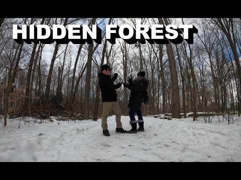 Red Oaks Nature Center - A Hidden Walk Trail in the City of Madison Heights, Michigan