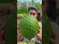 Making a GIANT Lemon from Leaves 🍋😳 | 8s Satisfying Craft #shorts