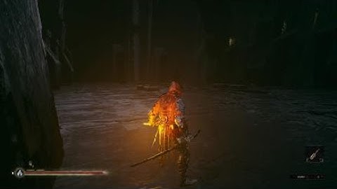 Mortal Shell a weird in game glitch?