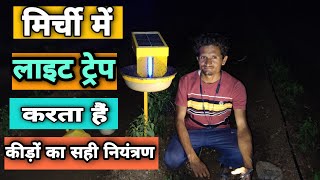 मिर्ची ‌में लाइट ट्रेप का फायदा देखिए Light Trap Uses in Chilli/Integrated Pest Management Chilli