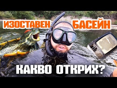 Видео: SENIEUR статусът на произходния донор на клетки отрича някои „анти-имуносенесценция“ефекти на ебселен и N-ацетил цистеин в клонни култури на човешки Т