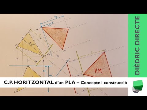 Vídeo: Què és un pla de procediment?