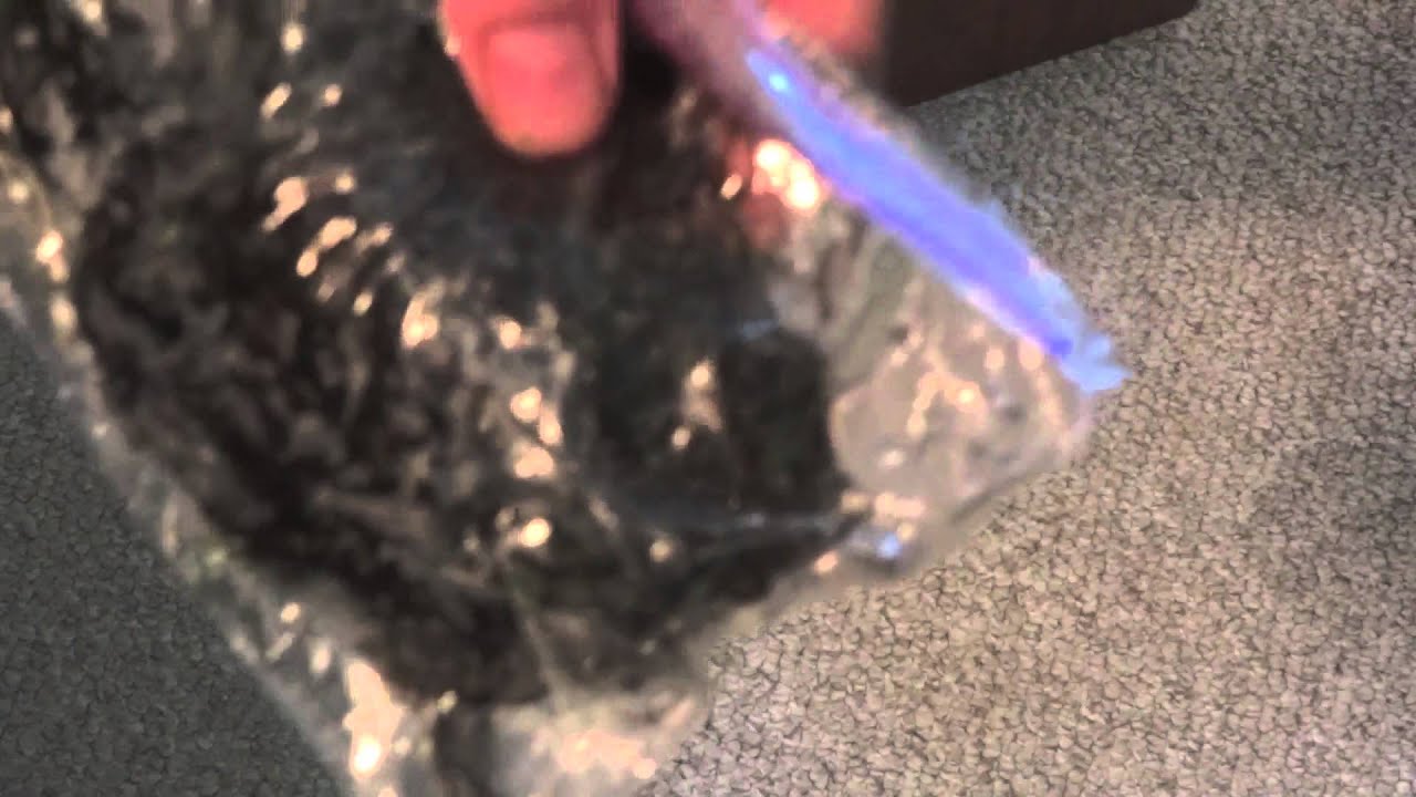 gallone FIred Up Aquatics - Unboxing