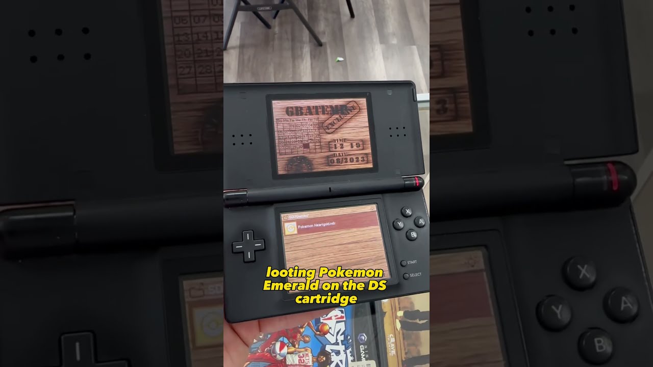 I Built The Ultimate DS Lite