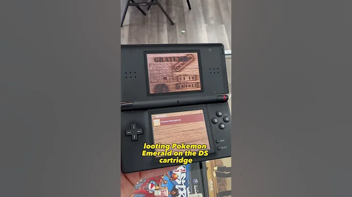 I built the ultimate DS Lite