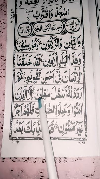 Surah Attin Egzon Ibrahimi #egzonibrahimi #quranrecitation #surahattin