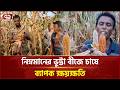 চুয়াডাঙ্গায় নিম্নমানের ভুট্টা বীজে চাষে ক্ষোভ ও ক্ষতিপূরণ দাবি | Corn Seed Chuadanga | Ekattor TV