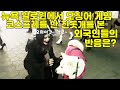 진돗개가 미국 🗽뉴욕 할로윈 퍼레이드에 가면 무슨일이 생길까? feat. 오징어게임의 해외인기Jindo Dogs In The Village Halloween Parade2021