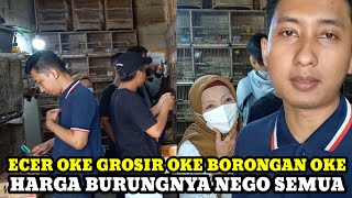 SEMUANYA SERBA OKE!!!CEK HARGA BURUNG TERBARU DI PASAR BURUNG PRAMUKA HARI INI KIOS RUDI