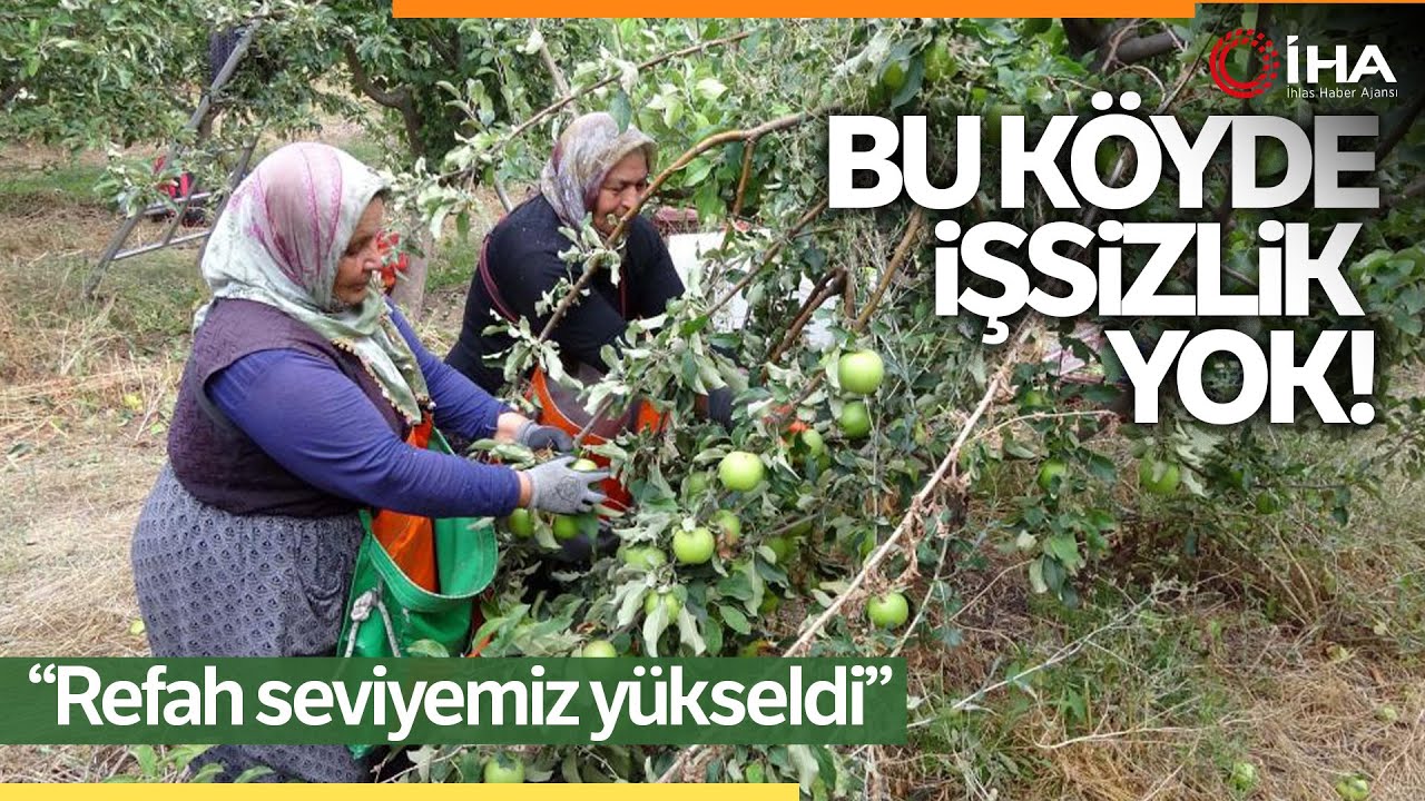 İşsizliği Bitiren Bu Köy, il ve İlçelerden Göç Alıyor