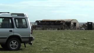 Capercaillie Tyrella X-country