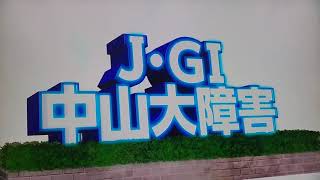 中山10レース中山大障害(J・GI) マイネルグロン