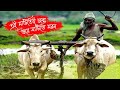 এই মাটিতে জন্ম ওরে মাটিতে মরন // Ei Matitey Jonmo Ore Matitey Moron // 2024 //@Sm_Music_Studio